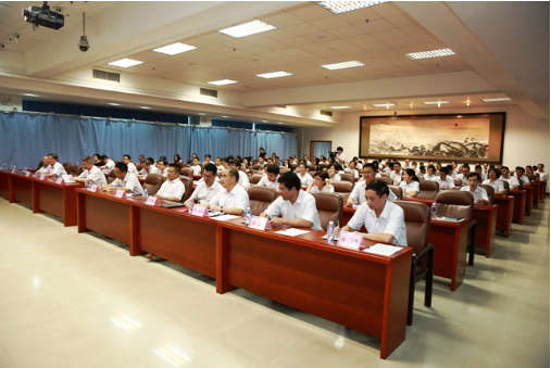 高标准  严要求  细措施 公司党委扎实推进“两学一做”学习教育